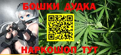твердый Бийск